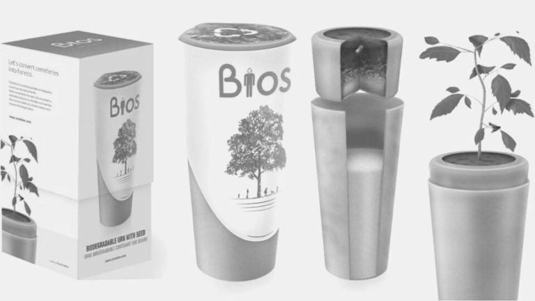 urne biodegradabili